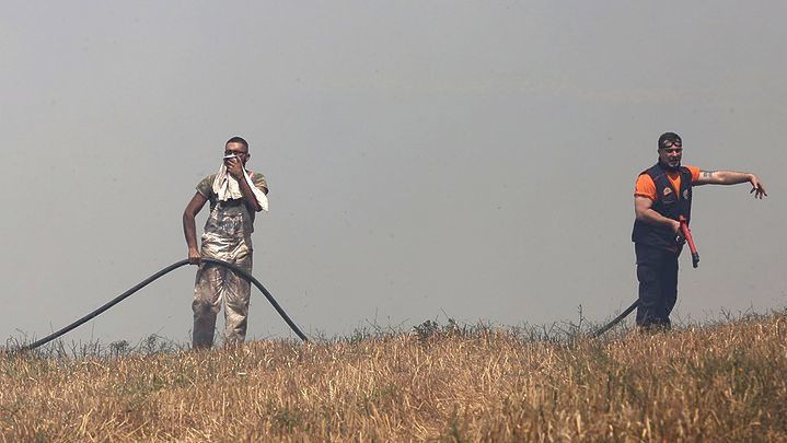 Πυρκαγιές στην Ηλεία σε 4 μέτωπα – Αναζωπυρώσεις στη  Ζάκυνθο [ΒΙΝΤΕΟ]