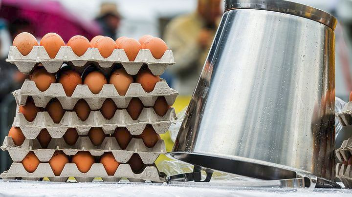Τριπλάσιος από αυτόν που έχει ανακοινώσει η κυβέρνηση, ο αριθμός μολυσμένων αυγών στη Γερμανία