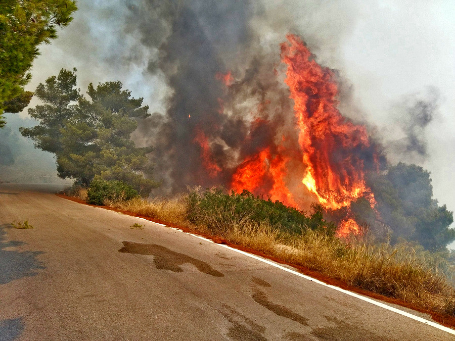 Μεγάλη φωτιά στην Ηλεία κοντά στα Ροδινά