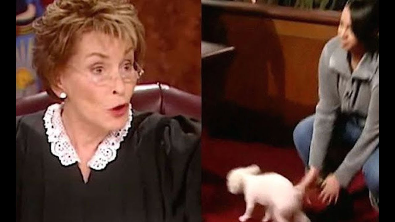Η Judge Judy άφησε ένα σκυλάκι στην αίθουσα δικαστηρίου να αποφασίσει σε ποιον ανήκει [ΒΙΝΤΕΟ]