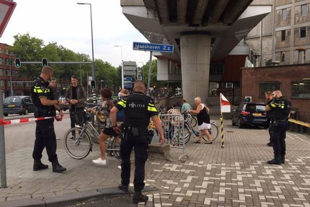 Ακυρώθηκε συναυλία των Allah-Las στο Ρότερνταμ λόγω τρομοκρατικής απειλής