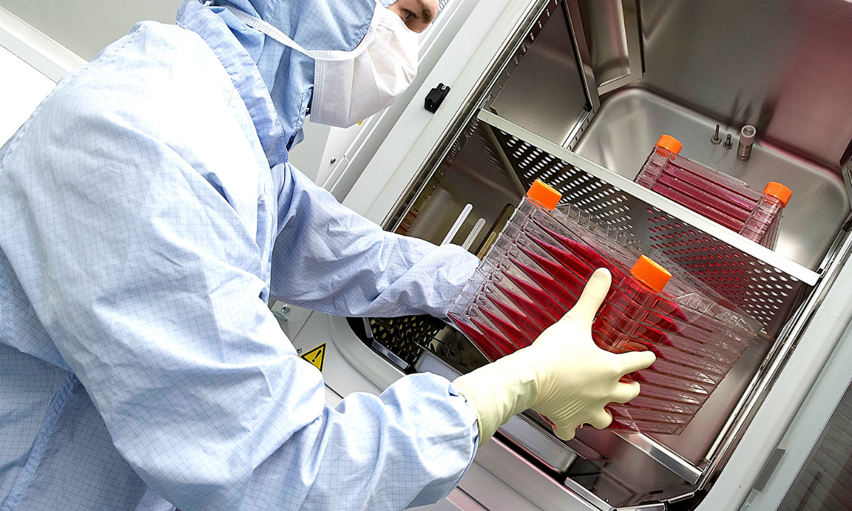 Υπόθεση Stem-Health: Εισαγγελική έρευνα για τις εταιρείες βλαστοκυττάρων