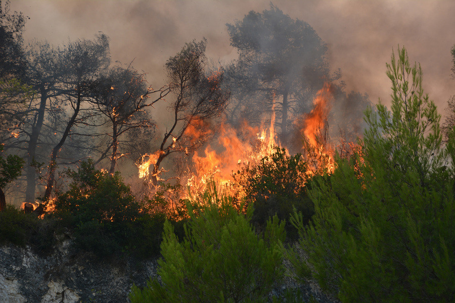 Τόσκας: Σχέδιο εμπρηστών οι πυρκαγιές στη Ζάκυνθο