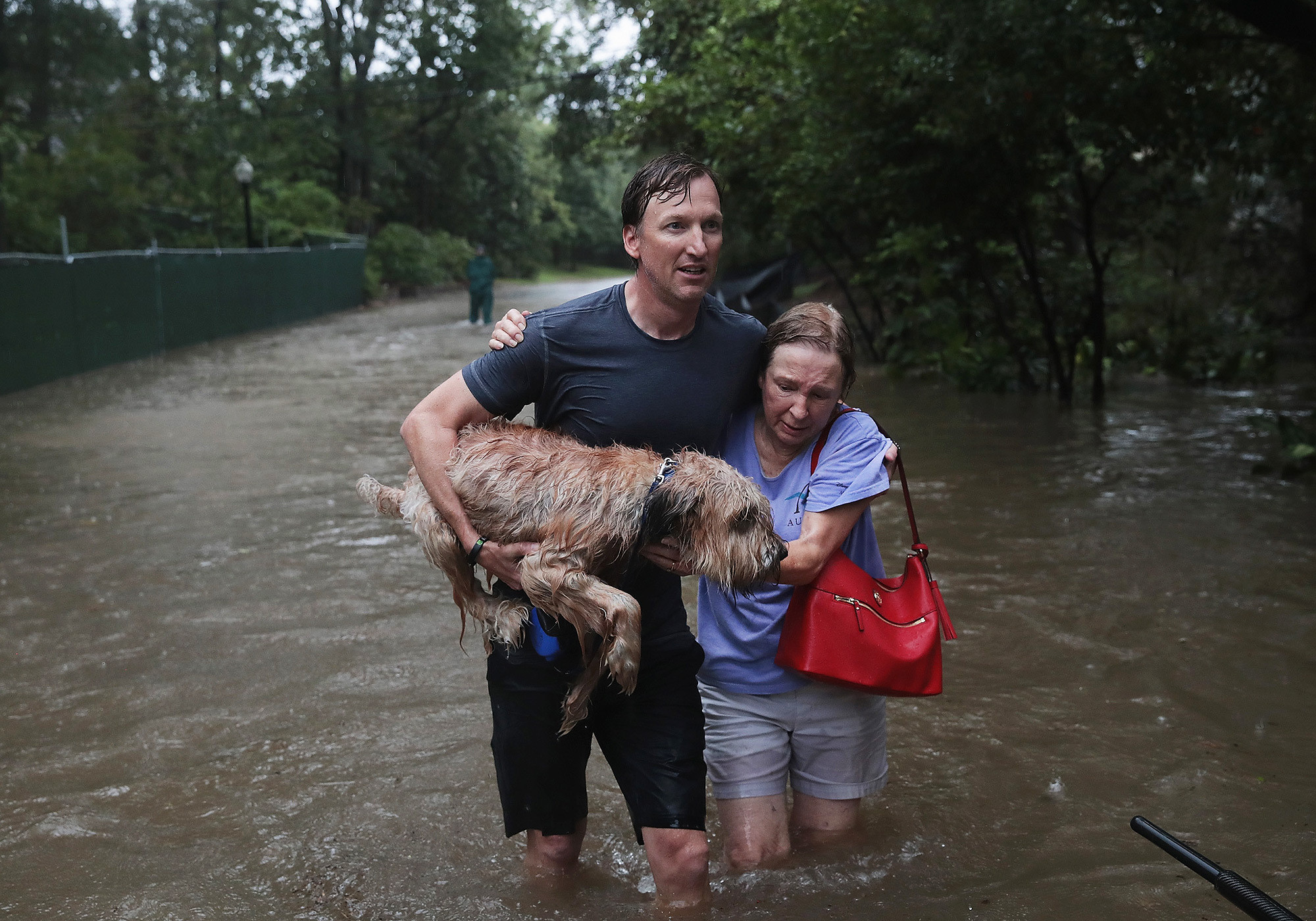 Έκκληση για τη διάσωση των ζώων στο πλημμυρισμένο Χιούστον