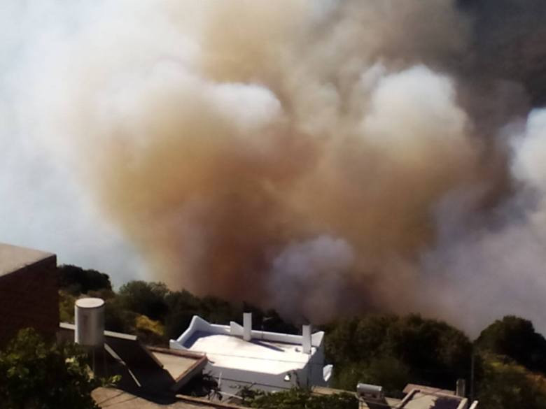 Πυρκαγιά καίει σε δύσβατο σημείο και κοντά σε σπίτια στη Νάξο [ΒΙΝΤΕΟ]