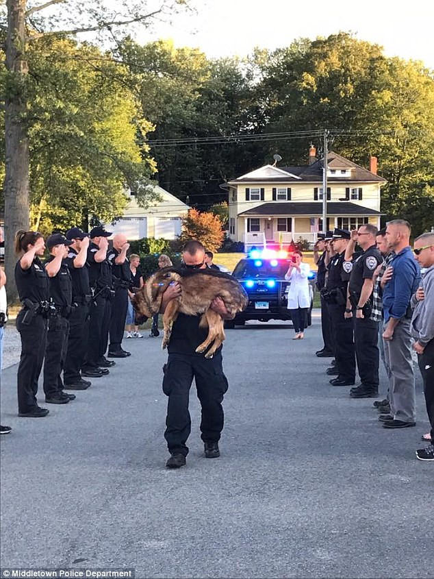 O αποχαιρετισμός των αστυνομικών στον σκύλο συνάδελφό τους που έγινε viral