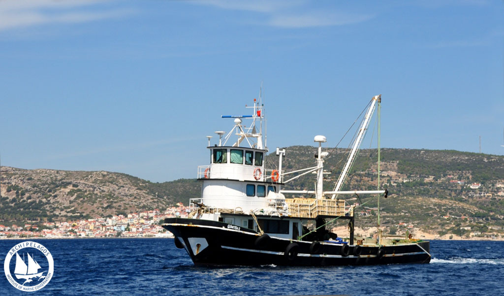 «Αρχιπέλαγος»: Τουρκικές μηχανότρατες αλιεύουν παράνομα στα ελληνικά χωρικά ύδατα