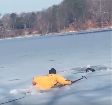 Έσωσαν σκύλο που έπεσε σε παγωμένη λίμνη [ΒΙΝΤΕΟ]