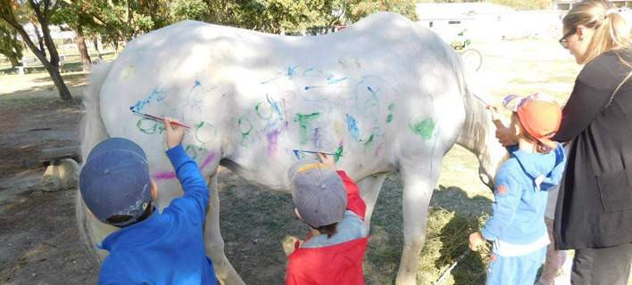 Νηπιαγωγοί παρακίνησαν παιδιά να ζωγραφίσουν πάνω σε άλογο [ΦΩΤΟ]