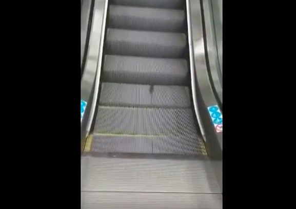 Ποντίκι κάνει διάδρομο σε κυλιόμενες σκάλες [ΒΙΝΤΕΟ]