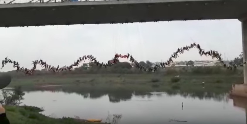 Βραζιλία: 245 άνθρωποι έπεσαν ταυτόχρονα από γέφυρα [ΒΙΝΤΕΟ]