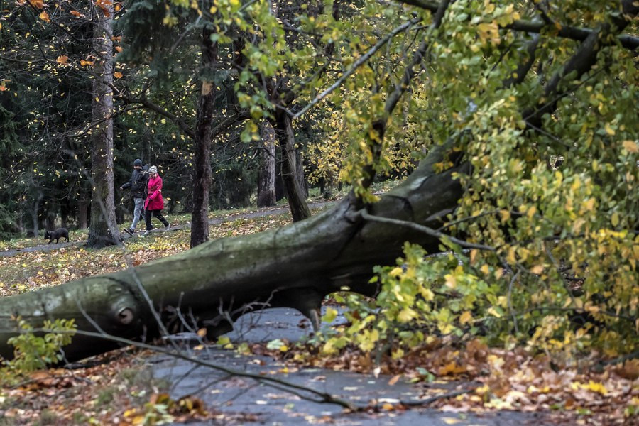 Πέντε νεκροί από την φονική καταιγίδα που σάρωσε την Κεντρική Ευρώπη [ΦΩΤΟ+ΒΙΝΤΕΟ]