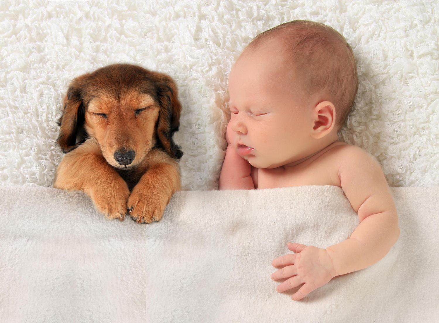 Μωρό, σκύλο ή άλλο ενήλικα: Ποιον συμπονούν περισσότερο οι άνθρωποι;