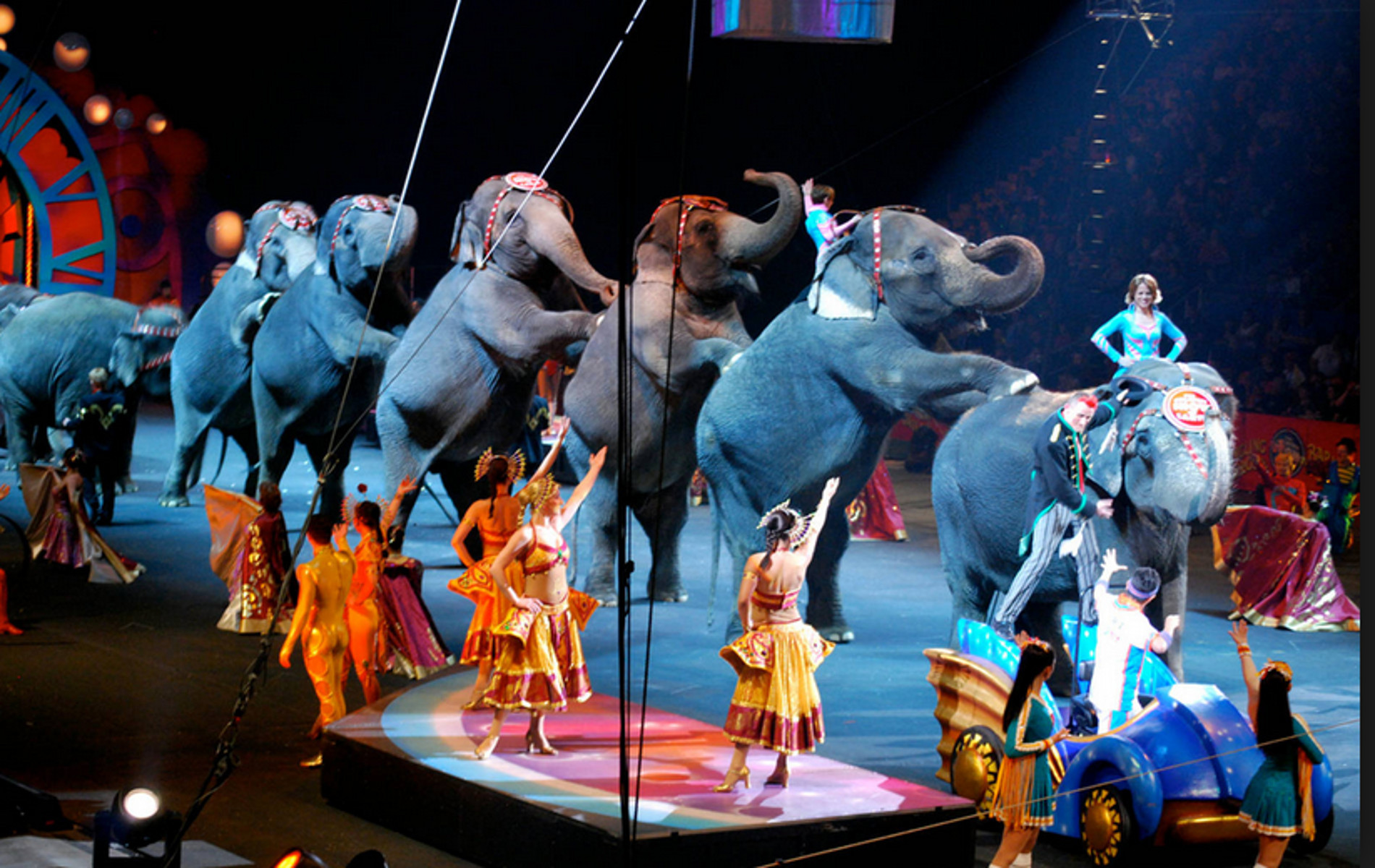 Ιταλία: Aπαγόρευση ζώων στο τσίρκο