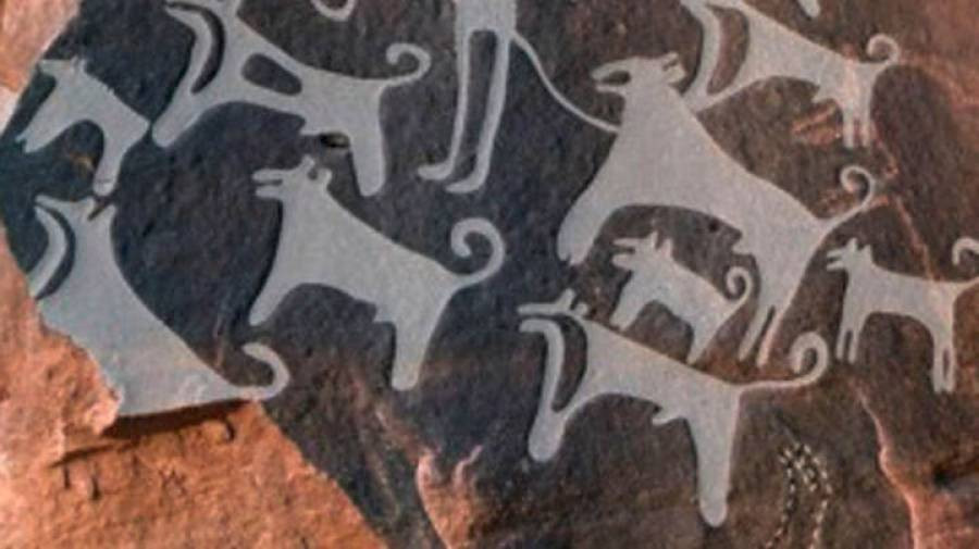 Ανακαλύφθηκαν οι αρχαιότερες απεικονίσεις κυνηγετικών σκύλων [ΒΙΝΤΕΟ]