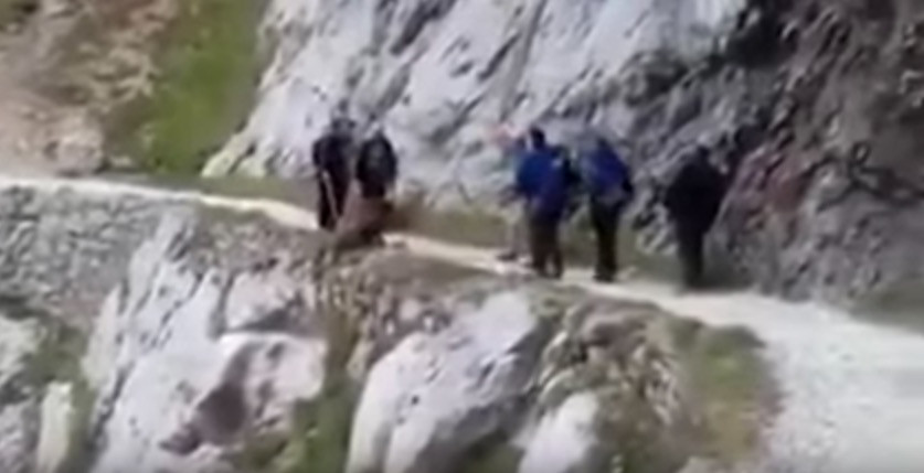 Ορειβάτες ρίχνουν αγριόχοιρο στο γκρεμό [ΒΙΝΤΕΟ]