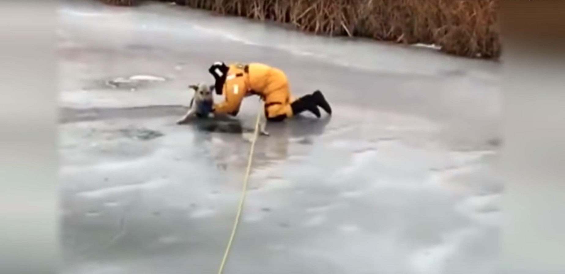 Καναδάς: Διάσωση σκύλου σε παγωμένο ποτάμι [Βίντεο]
