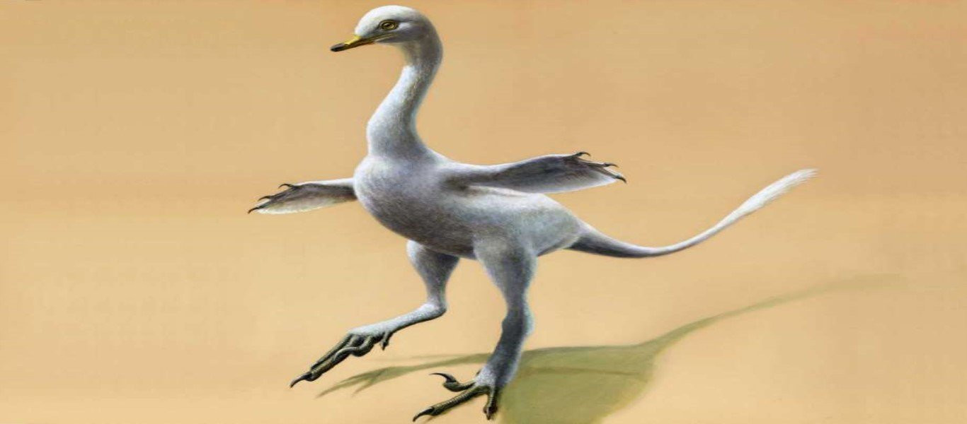 Ανακαλύφθηκε δεινόσαυρος με λαιμό κύκνου και πόδια πάπιας