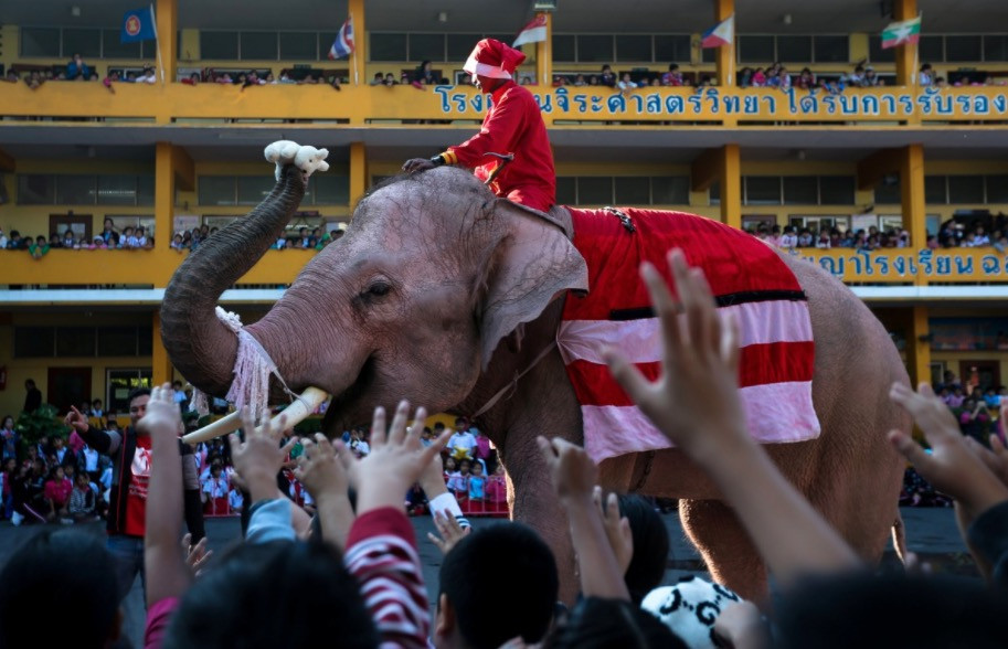 Αη Βασίλης πάνω ελέφαντα μοίρασε δώρα σε μαθητές [ΦΩΤΟ]