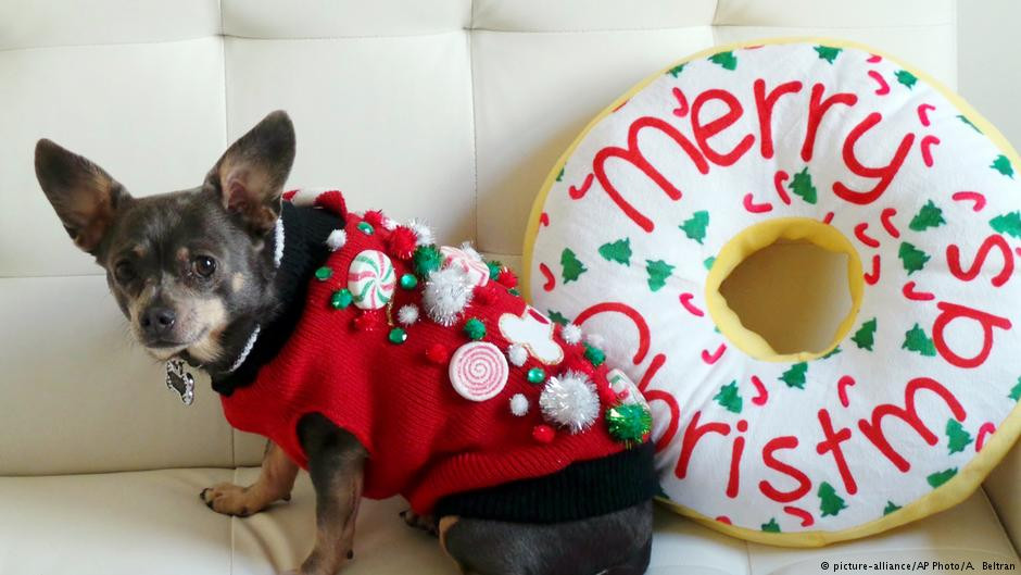Οι χριστουγεννιάτικες παγίδες για τα σκυλιά