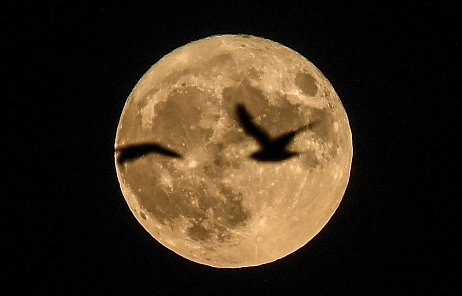 Με σούπερ – Σελήνη και αστροβροχή θα ξεκινήσει το 2018