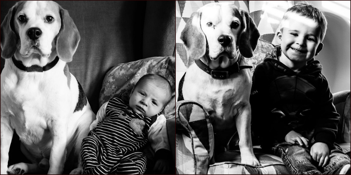 Μωρό και σκύλος φωτογραφίζονται κάθε μήνα στην ίδια θέση [ΦΩΤΟ]