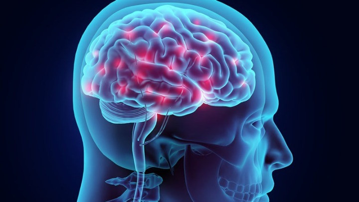 Νευροεπιστήμη: 10 νέα πράγματα που μάθαμε για τον εγκέφαλο το 2018