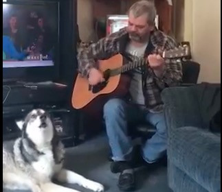 Ένας σκύλος τραγουδιστής ξεσηκώνει το διαδίκτυο [ΒΙΝΤΕΟ]