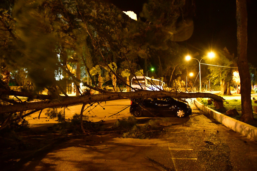 Προβλήματα από τους θυελλώδεις ανέμους: Ξήλωσαν δέντρα και σκεπές – Κατέστρεψαν αυτοκίνητα [ΒΙΝΤΕΟ]