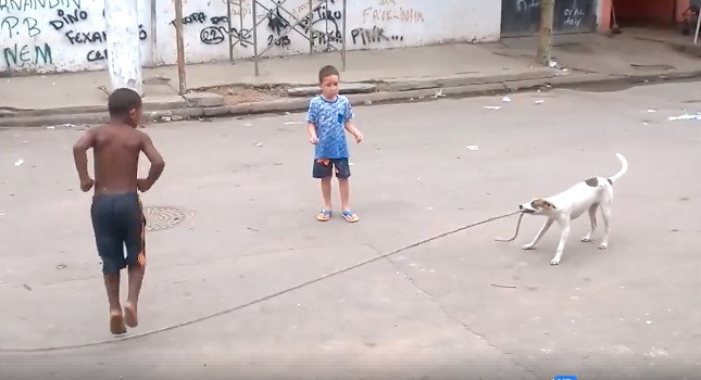 Σκύλος παίζει σχοινάκι και γίνεται viral [ΒΙΝΤΕΟ]