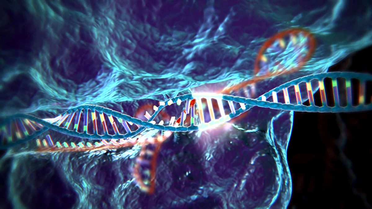 CRISPR: «Kοπτοραπτική» στο ανθρώπινο DNA