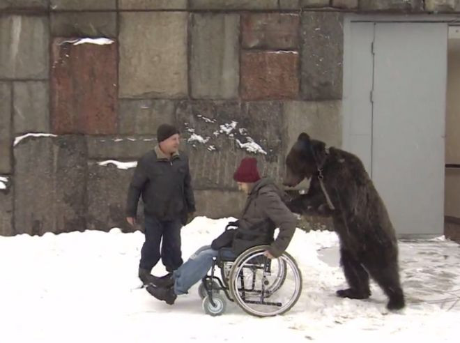Αρκούδα «πάει βόλτα» τον τραυματισμένο εκπαιδευτή της [ΒΙΝΤΕΟ]