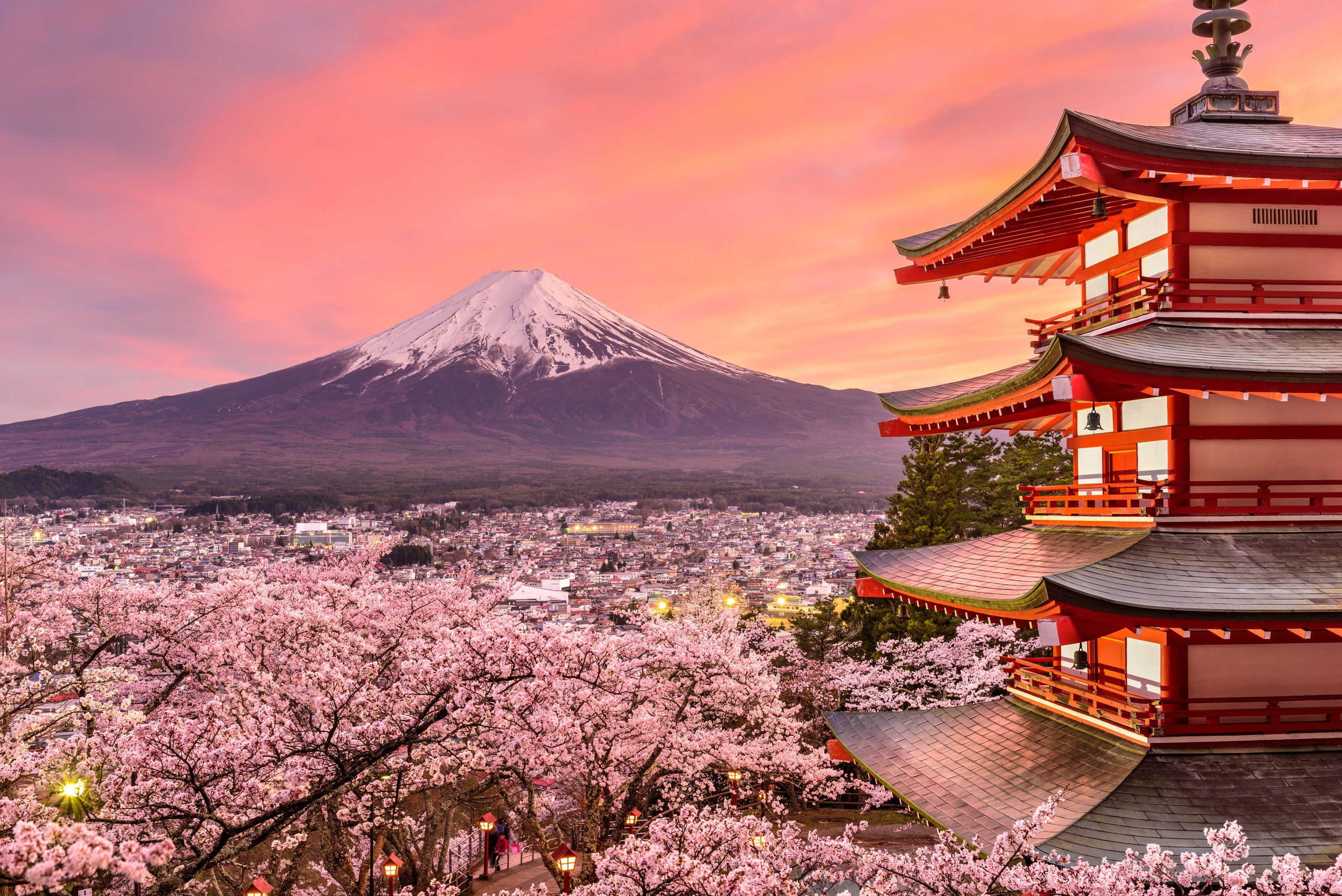 Οι ανθισμένες κερασιές της Ιαπωνίας [ΦΩΤΟ+ΒΙΝΤΕΟ]