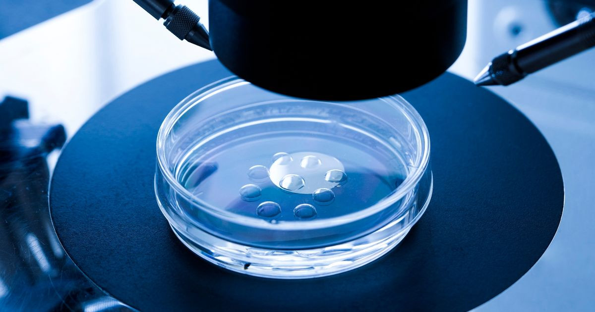 Δημιουργήθηκαν τα πρώτα ανθρώπινα ωάρια στο εργαστήριο