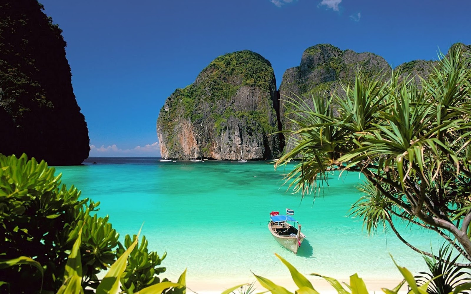 Κλείνει η διάσημη «παραλία» του Ντι Κάπριο στην Ταϊλάνδη