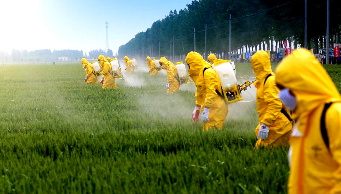 Νομικός πόλεμος Monsanto σε Avaaz