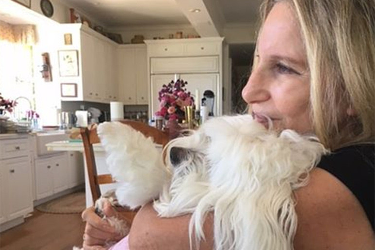 Η Μπάρμπαρα Στρέιζαντ κλωνοποίησε την αγαπημένη της σκυλίτσα