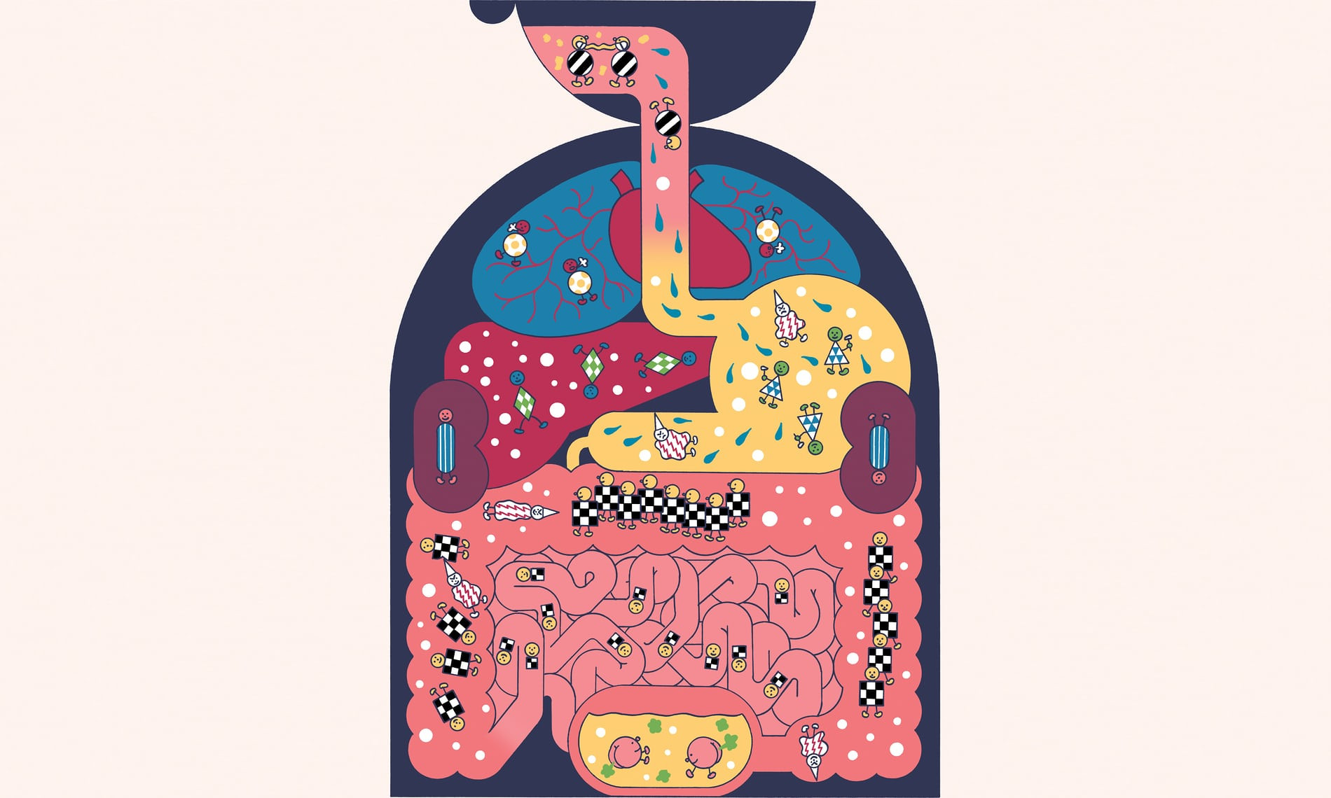 Τα μικρόβια του ανθρώπινου σώματος κλειδί για την υγεία μας