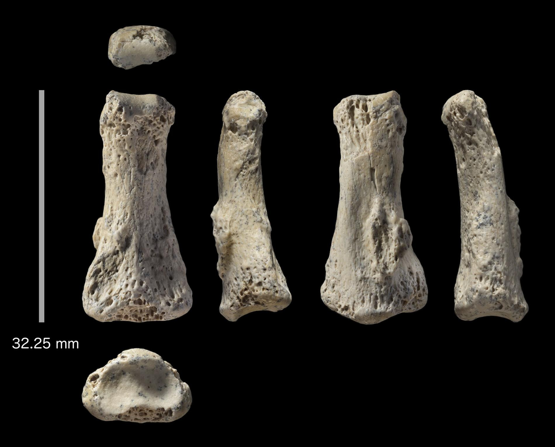 Βρέθηκε το αρχαιότερο απολίθωμα του Homo sapiens εκτός Αφρικής – Είναι 90.000 ετών