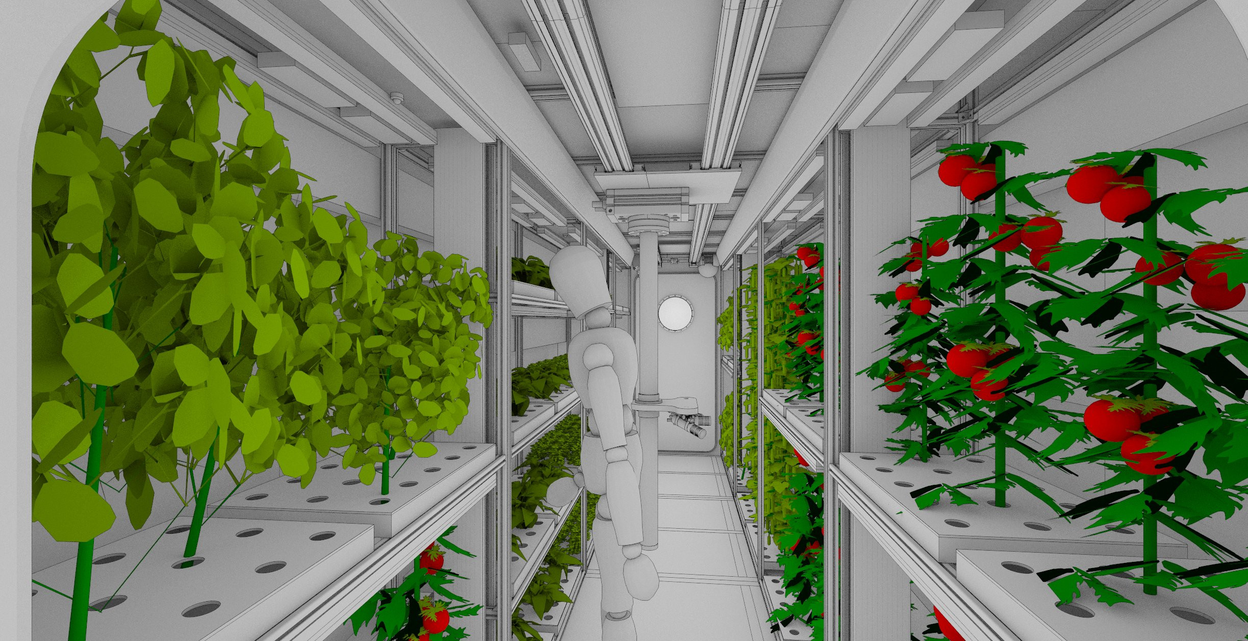 Λαχανικά από την Ανταρκτική ανοίγουν το δρόμο για καλλιέργειες στο διάστημα