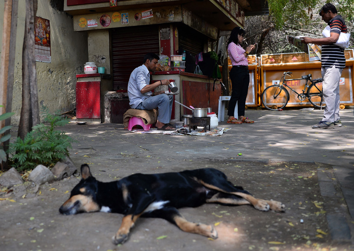 «Πογκρόμ» από Ινδούς χωρικούς εναντίον σκυλιών σε αντίποινα για τον θάνατο παιδιών