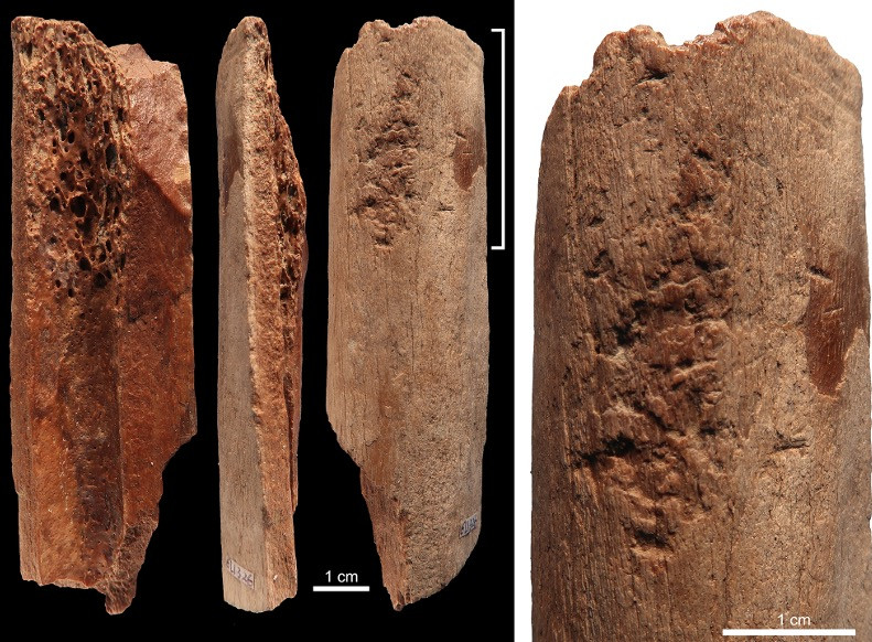 Εργαλεία 115.000 ετών!