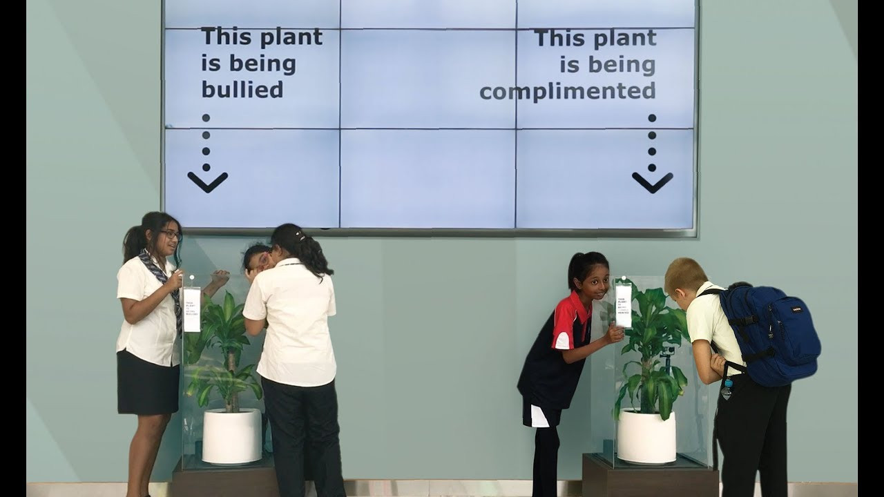 Κάνοντας bullying σε ένα φυτό: Ένα πείραμα για τον σχολικό εκφοβισμό