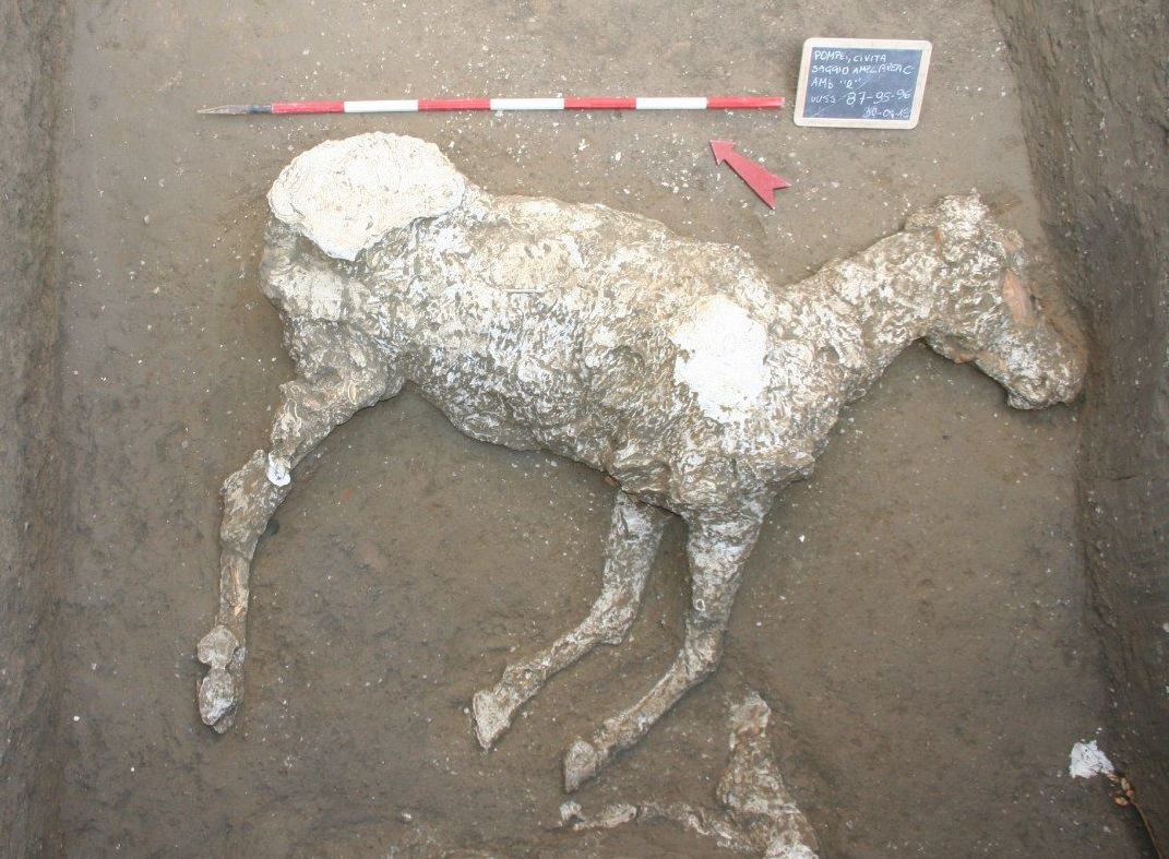 ‘Ενα άλογο στην τελευταία αγωνία του, από την Πομπηία του 79 μ.Χ