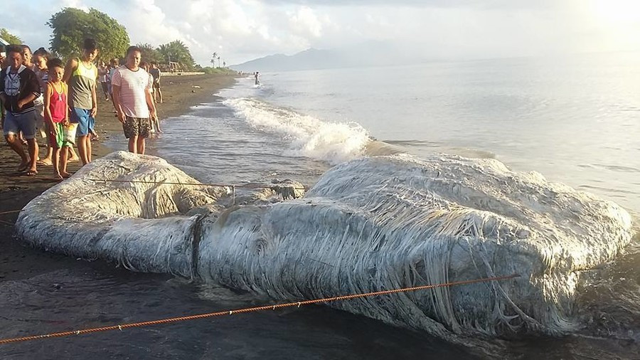 Τι είναι το «τεράστιο τριχωτό πλάσμα» που ξεβράστηκε στην παραλία των Φιλιππίνων