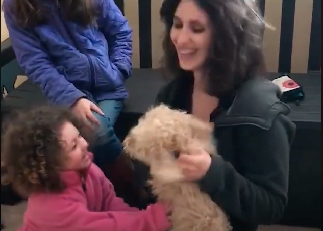 Σκύλος ξαναβλέπει την οικογένειά του μετά από 19 μήνες [ΒΙΝΤΕΟ]