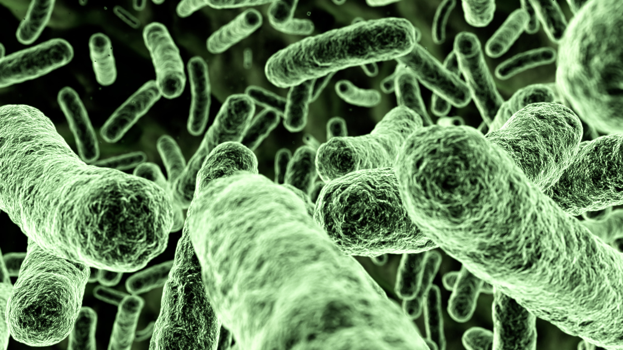 Χαρτογραφήθηκαν οι γενετικοί κώδικες 3.000 επικίνδυνων βακτηρίων