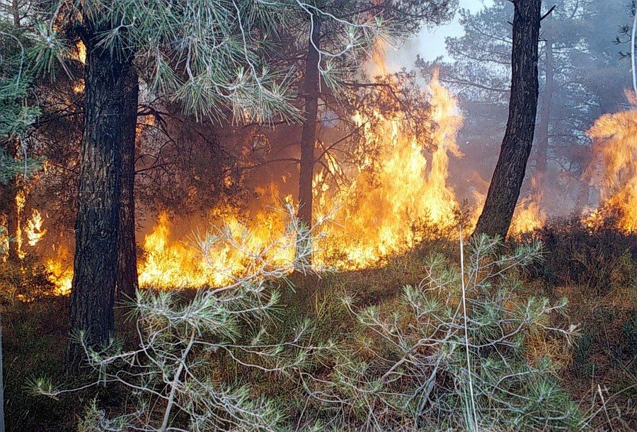 Καίγεται το δάσος στην Αλόννησο [Βίντεο]