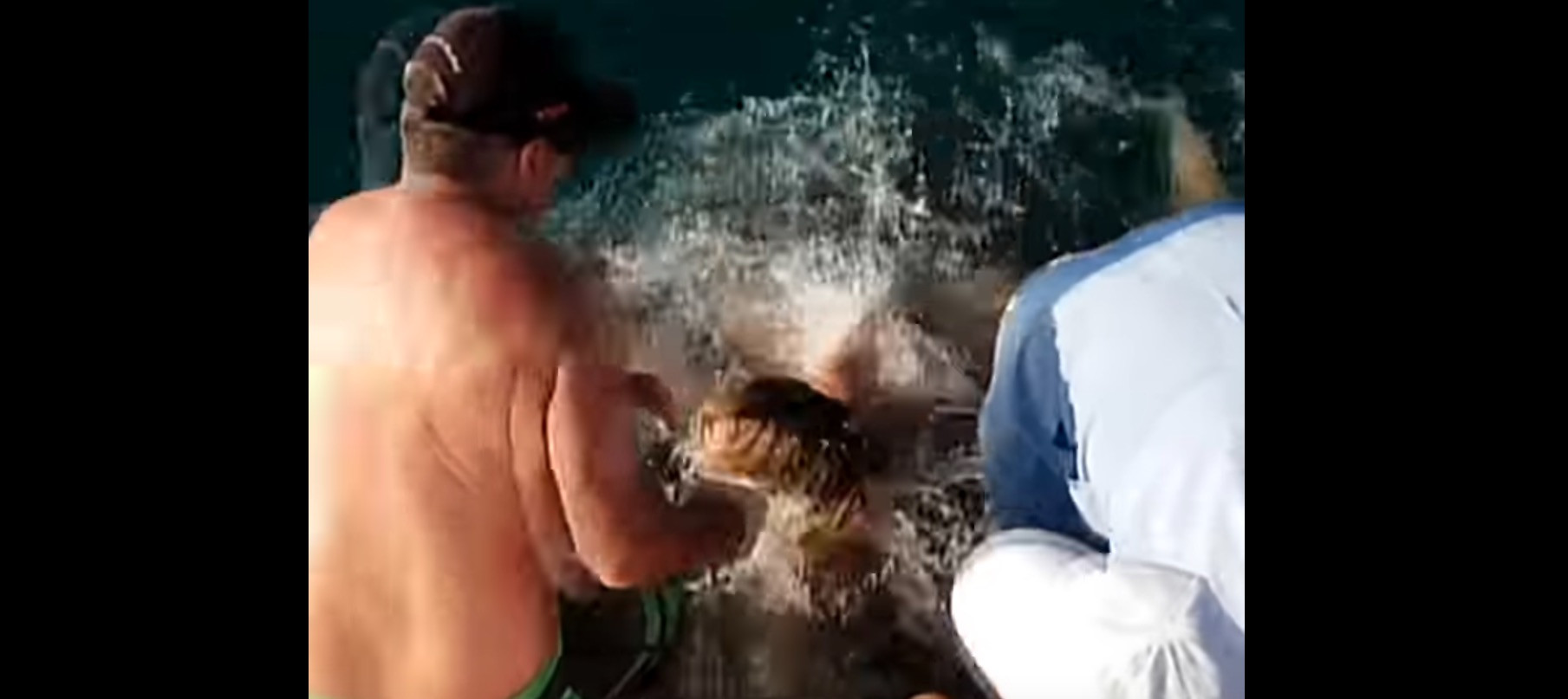 Πώς έμαθε μια τουρίστρια ότι τα «αφεντικά» στο νερό είναι οι καρχαρίες [Βίντεο]