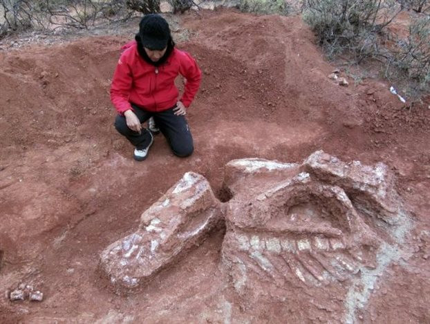 Ανακαλύφθηκε γιγαντιαίος δεινόσαυρος ηλικίας μεγαλύτερης των 200 εκατ. ετών